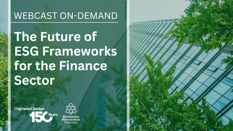  The Future of ESG Frameworks for the Finance Sector