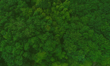 Foundation Course in Green and Sustainable Finance - life long learning 