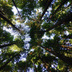 Institute welcomes UK Regulator's emphasis on education and training issues around ESG