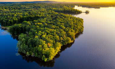 The meaning of nature and biodiversity for banks