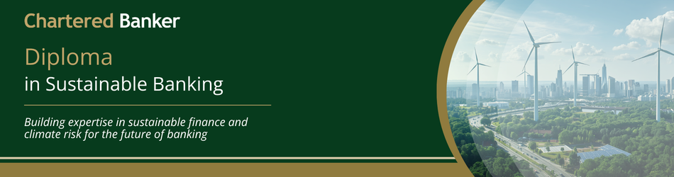 Dip SB - 26.png