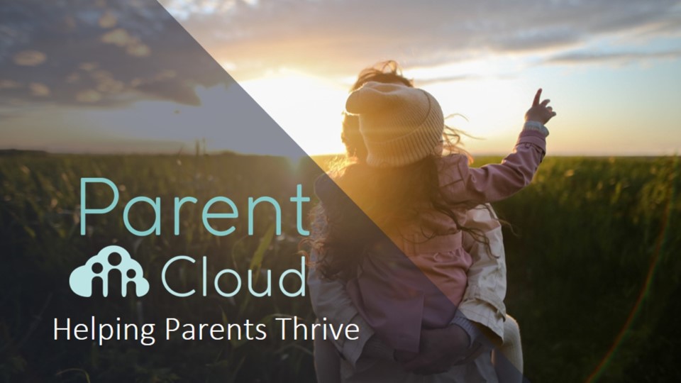 Webcast: Keeping your career on track while working & parenting