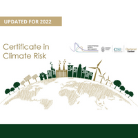 Copy of New Cert in Climate Risk Social Tile.png