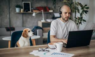 Hybrid Working