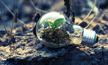 Green & Sustainable Qualifications 