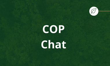 COP27 Chat